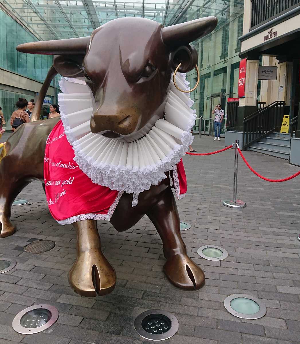 Hollister bullring 2024 opening times